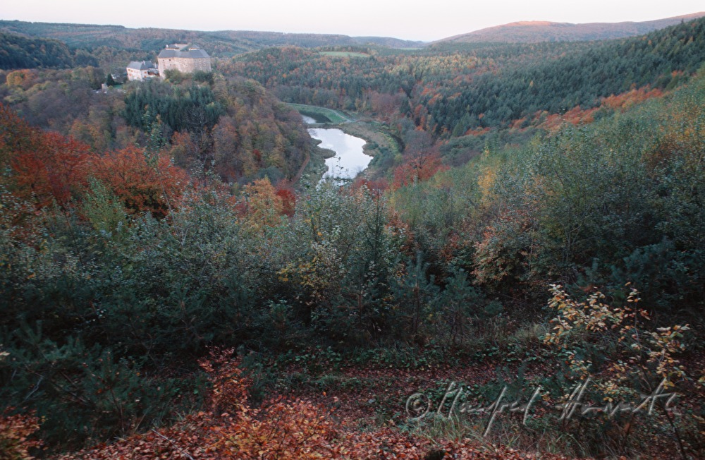 Blick vom Günser Gebirge auf den See und die Burg