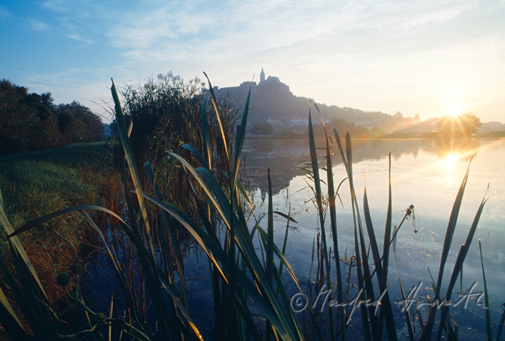 Fischteich bei der Burg