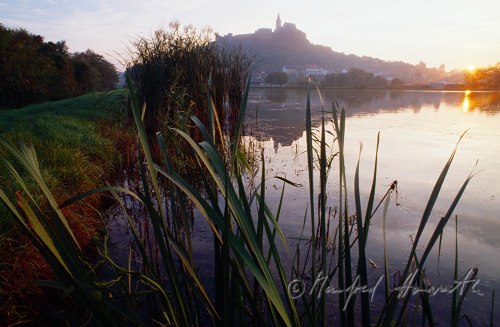 Fischteich bei der Burg