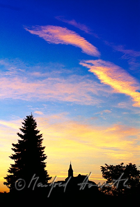 Silhouette der Burg und Wald