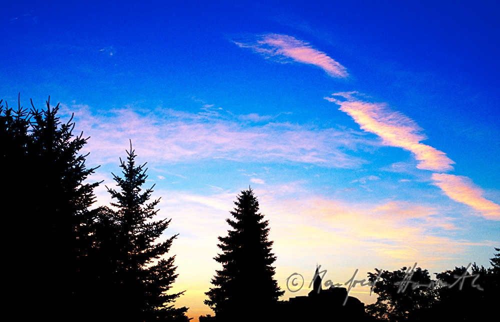 Silhouette der Burg und Wald
