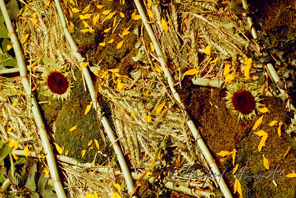 Dekoration bei Gartenausstellung