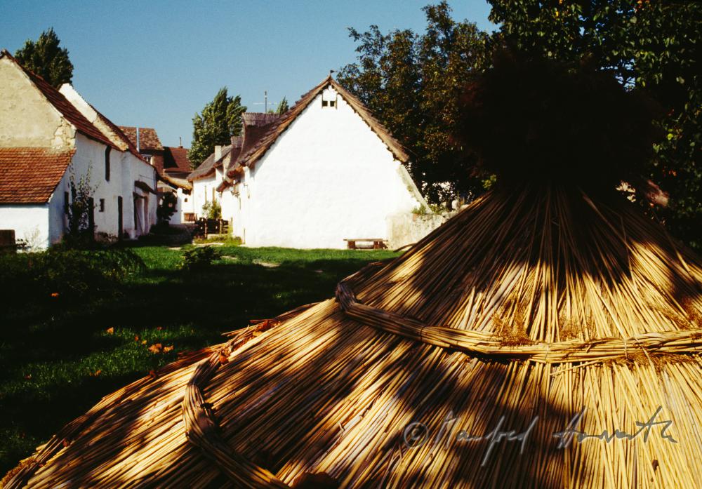 Sonnenschirm aus Schilf bei einem Bauernhaus