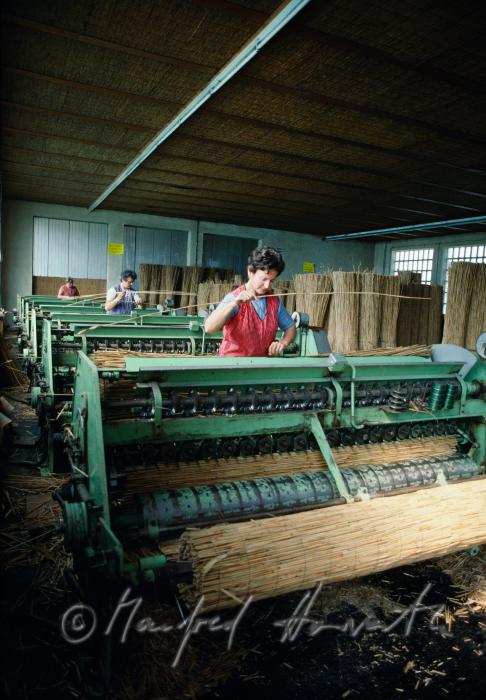 Schilf-Web-Maschine für Schilfrohr-Matten