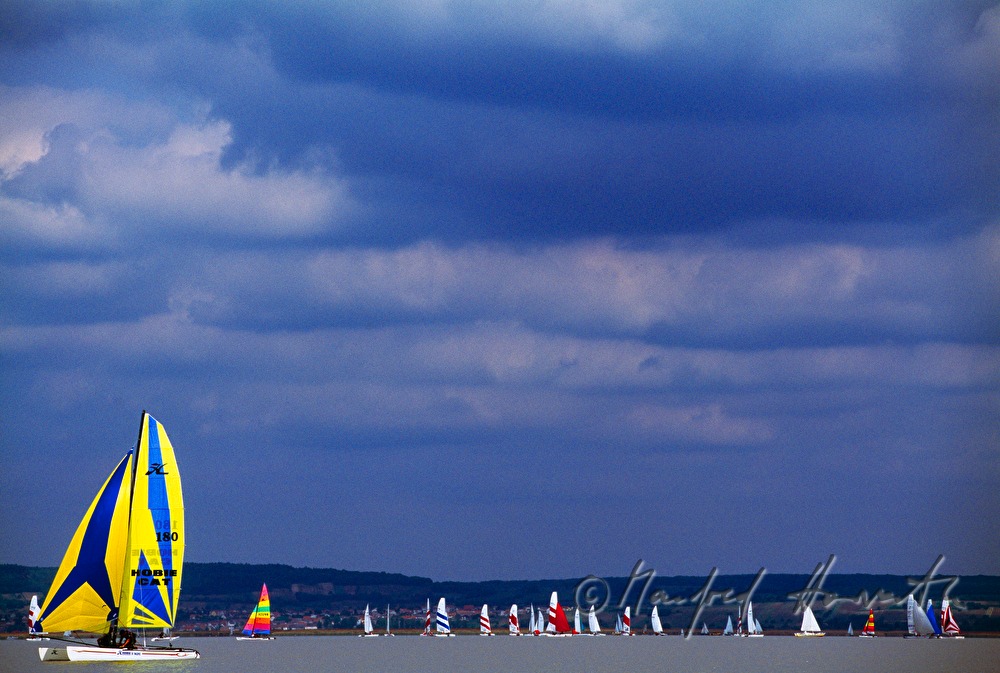 Segelregatta bei Weiden am See