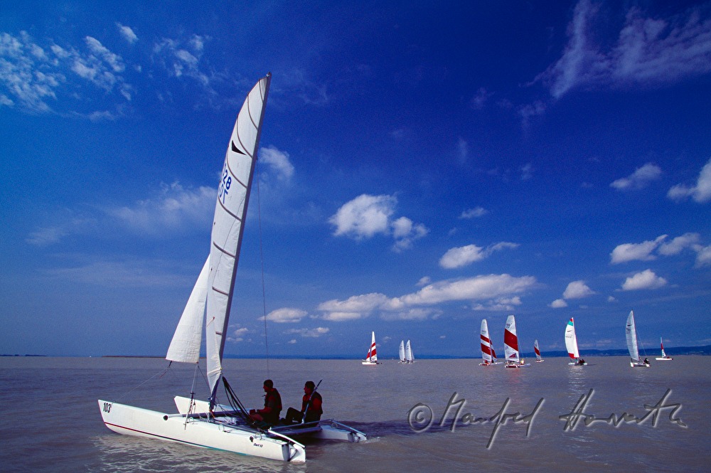 Segelregatta bei Weiden am See