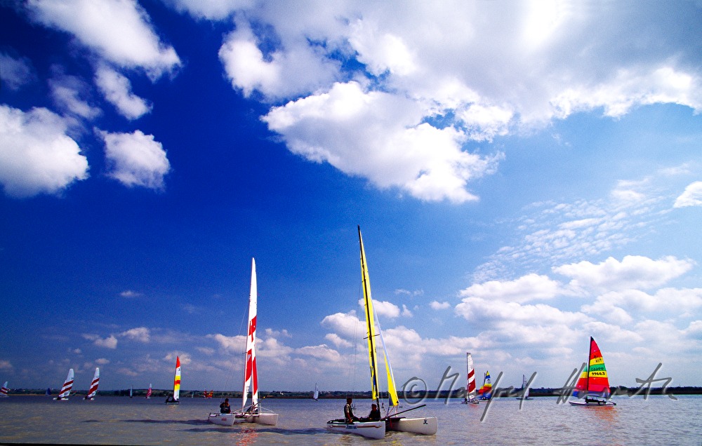 Segelregatta bei Weiden am See