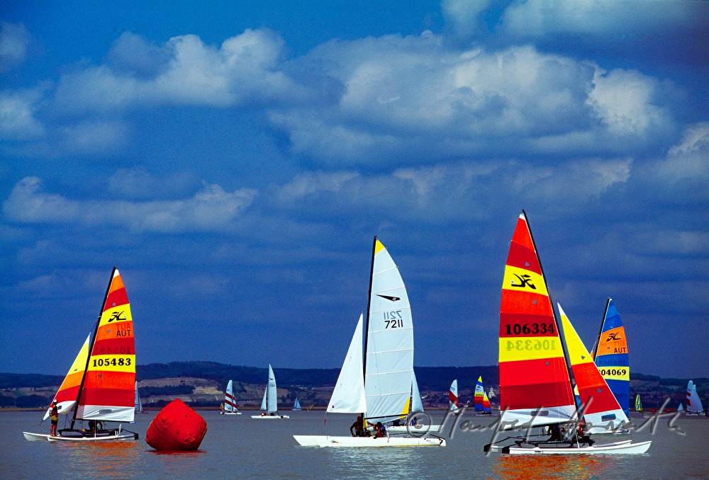 Segelregatta bei Weiden am See