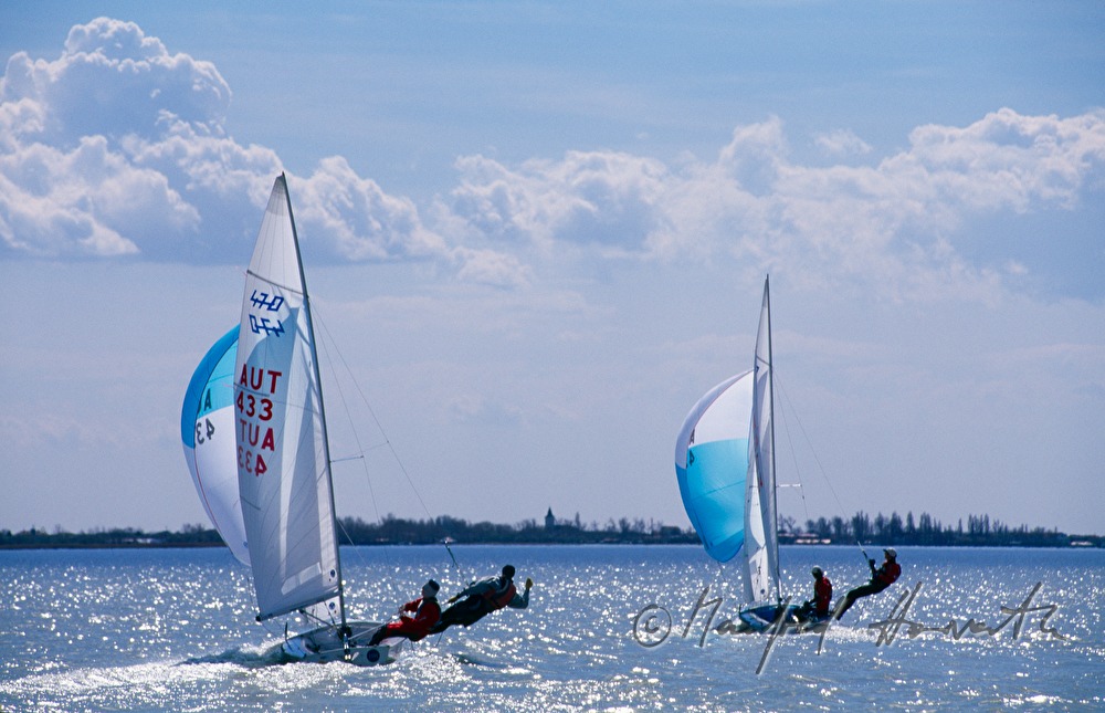 Segelregatta bei Weiden am See