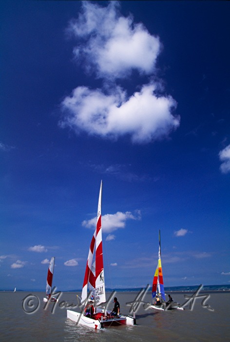 Segelregatta bei Weiden am See