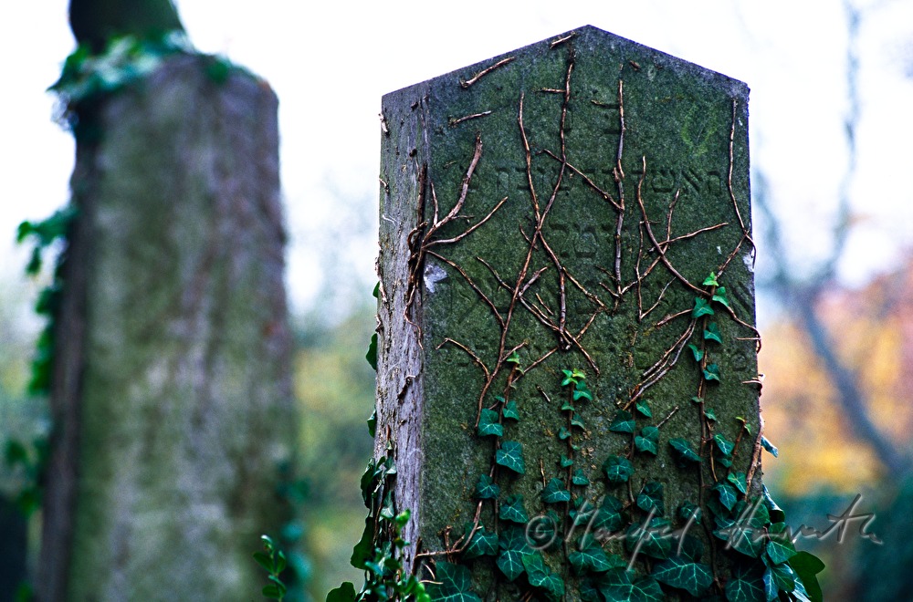 jüdischer Friedhof, Grabsteine