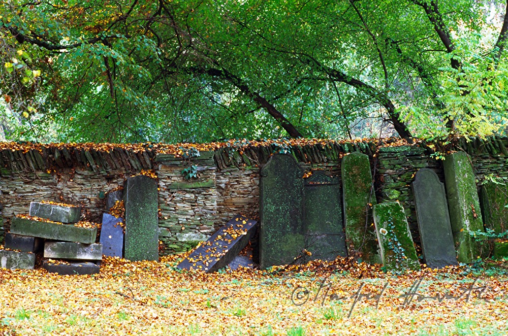 jüdischer Friedhof, Grabsteine