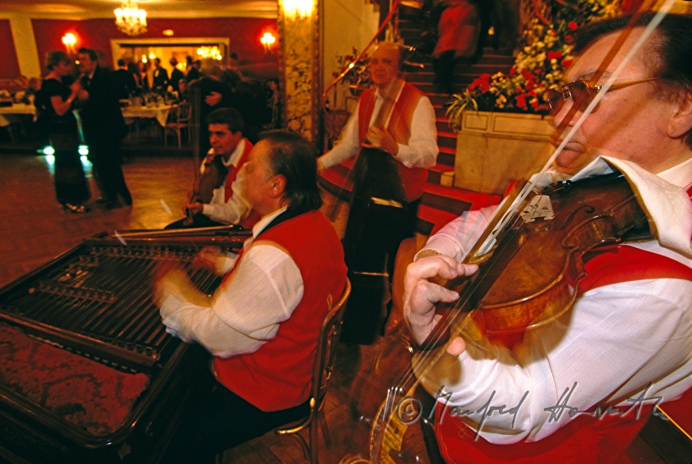 Ball der Burgenlandkroaten, Romamusiker