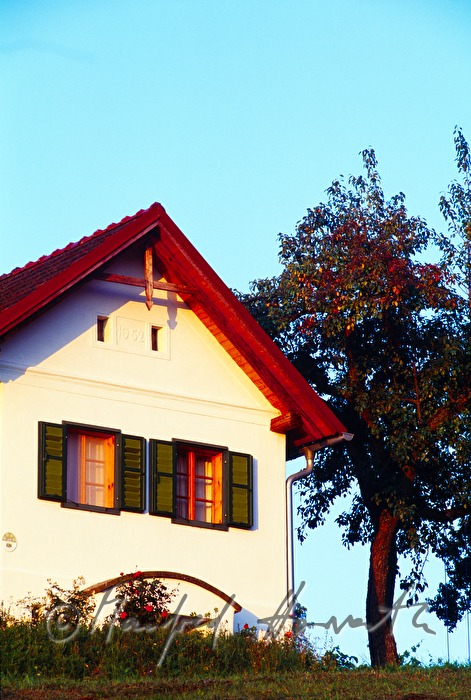 Kellerstöckl Leitner (Gästehaus im Weinkeller)