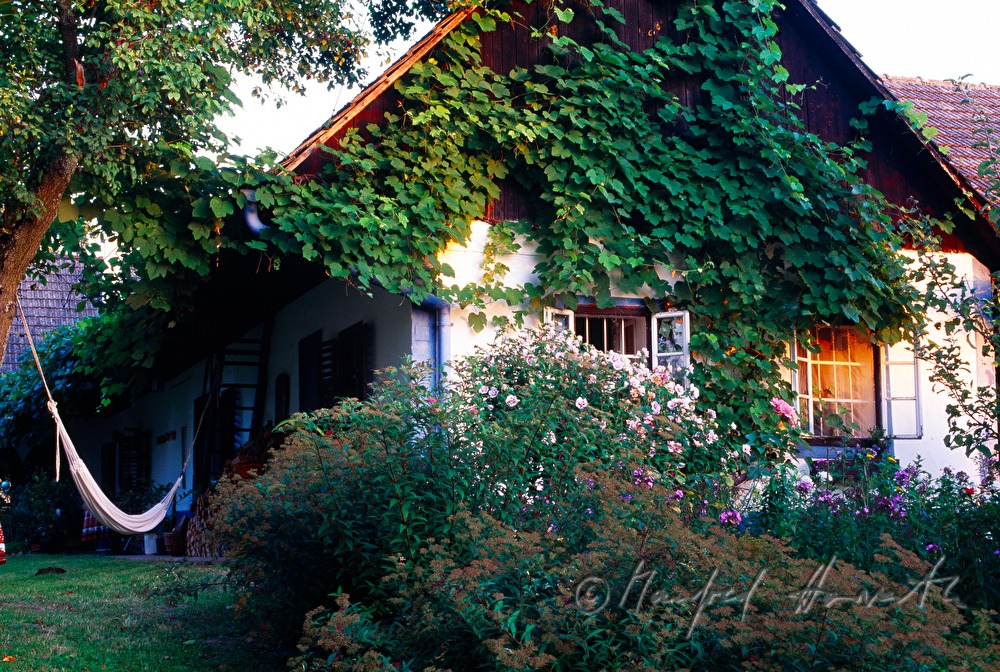 Gästehaus Melnitzky, Garten und Hängematte
