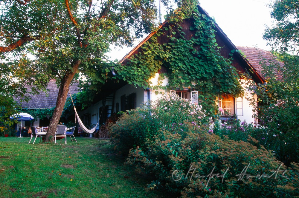 Gästehaus Melnitzky, Garten und Hängematte