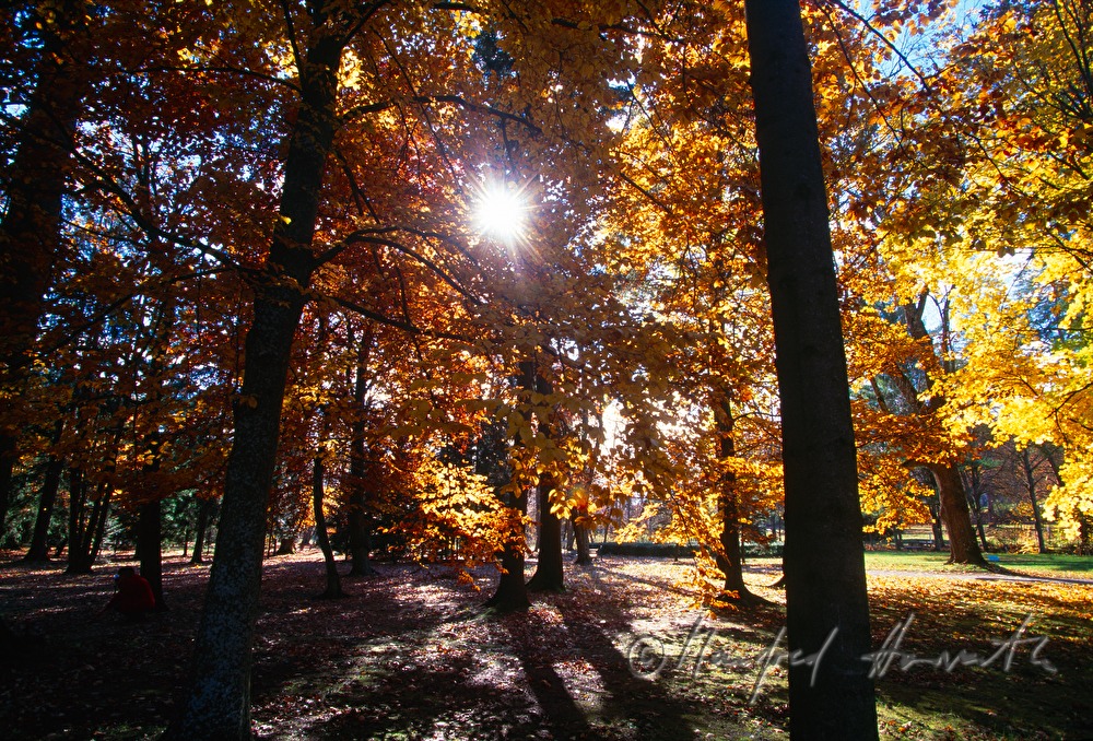 Herbst im Kurpark Bad Tatzmannsdorf
