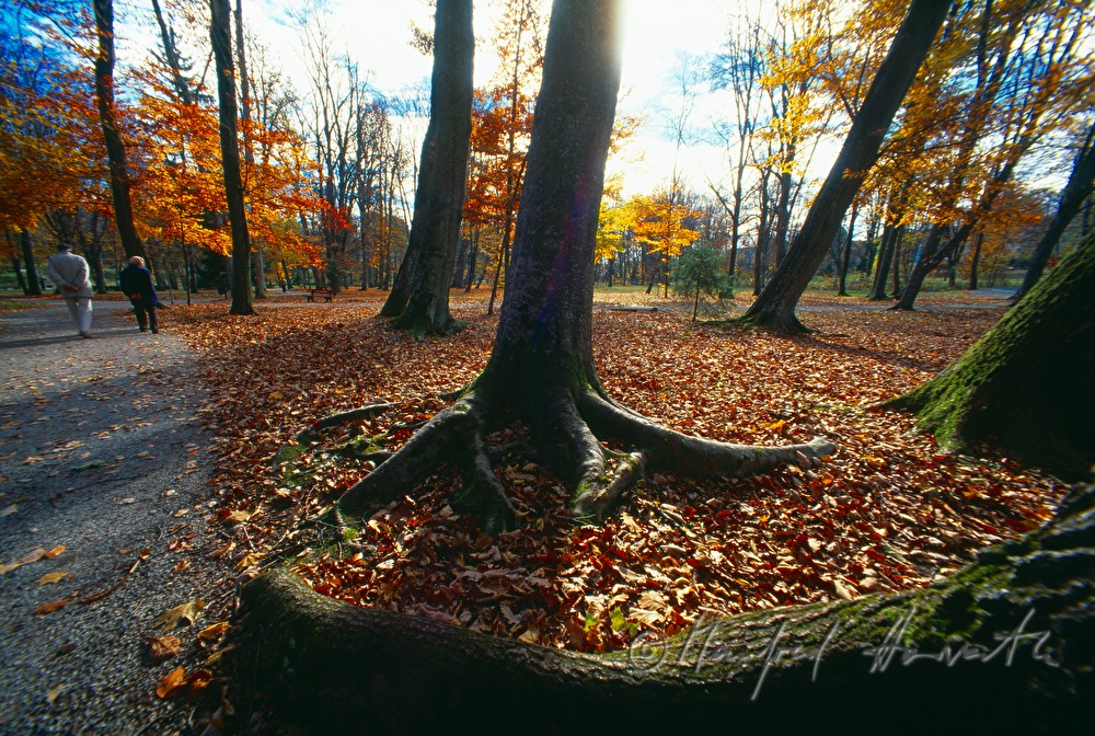 Herbst im Kurpark Bad Tatzmannsdorf