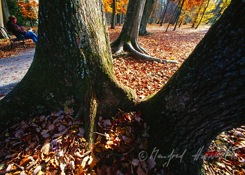 Herbst im Kurpark Bad Tatzmannsdorf