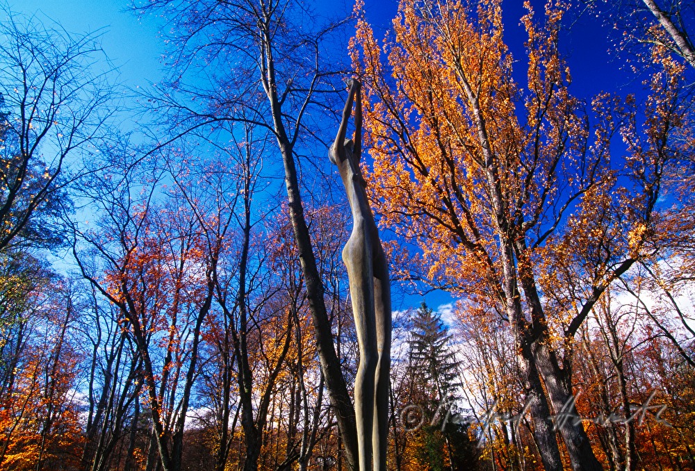 Bronzeskulptur im Kurpark Bad Tatzmannsdorf