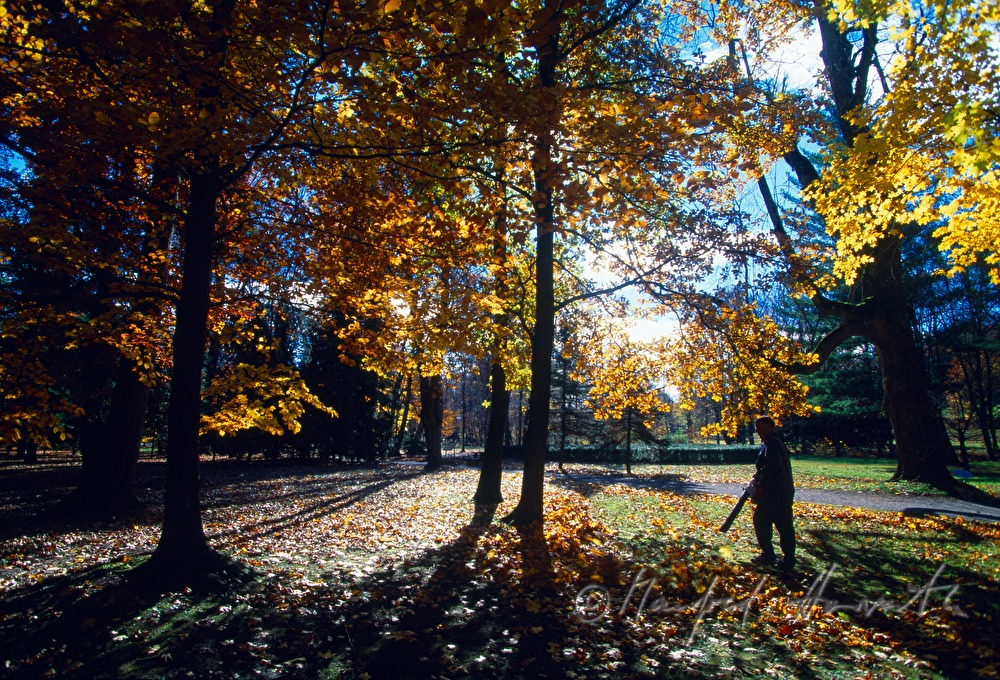Herbst im Kurpark Bad Tatzmannsdorf