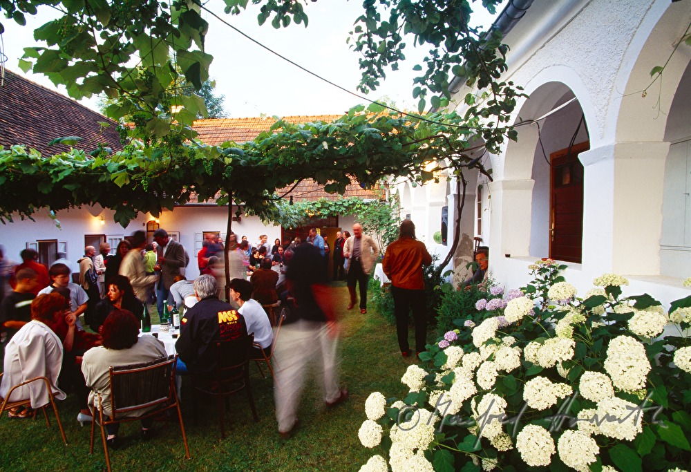 Club an der Grenze, Vernissage im Arkadenhof