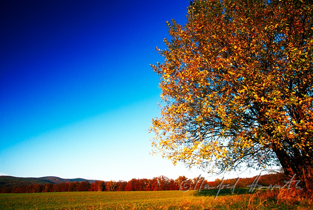 Landschaft bei Rechnitz