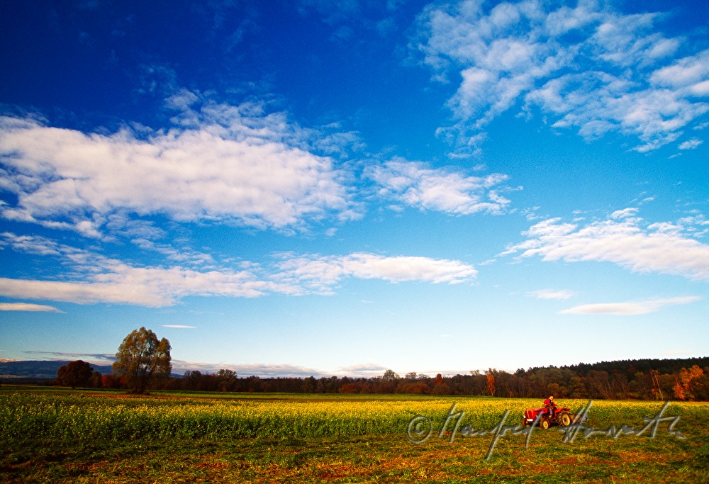 Traktor im Feld