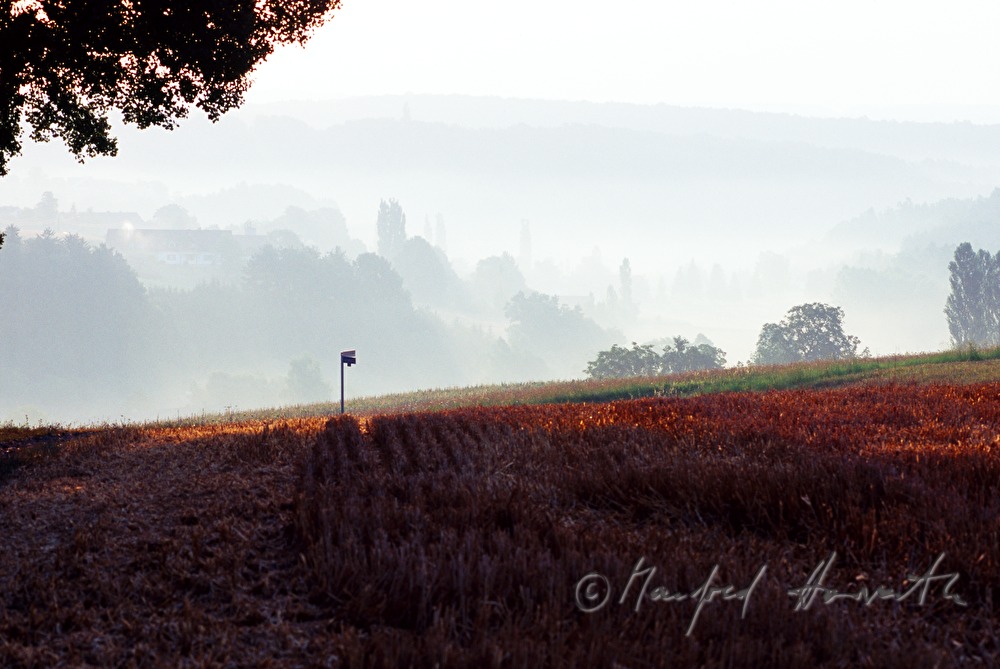 Felder und Morgennebel