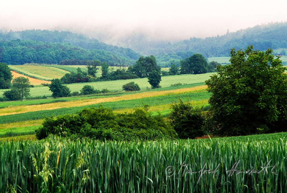 Landschaft bei Schlaining