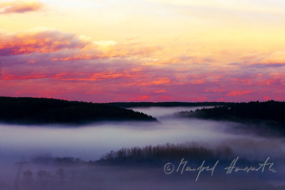 Nebel über dem Stegersbachtal