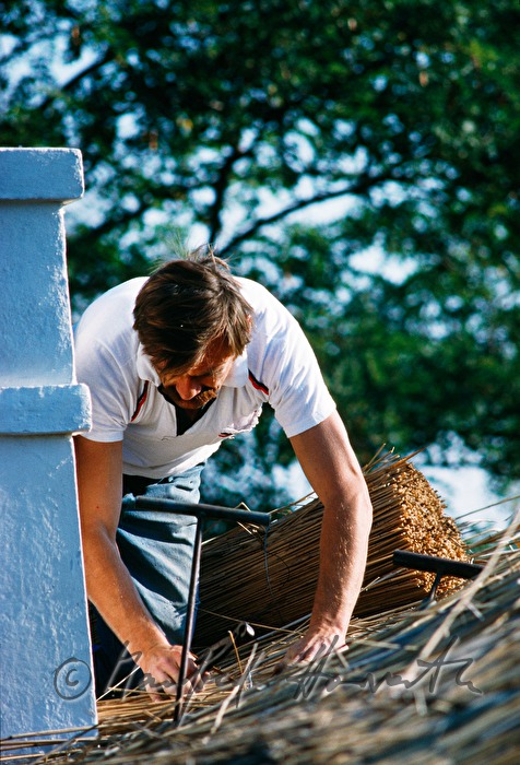 Arbeiter beim Schilfdachdecken