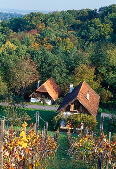 Weingarten und Weinkeller Weinek
