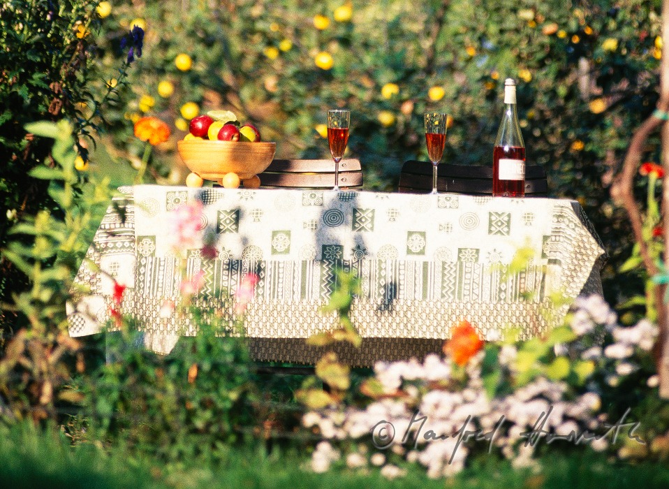 gedeckter Gartentisch mit Uhudlersekt
