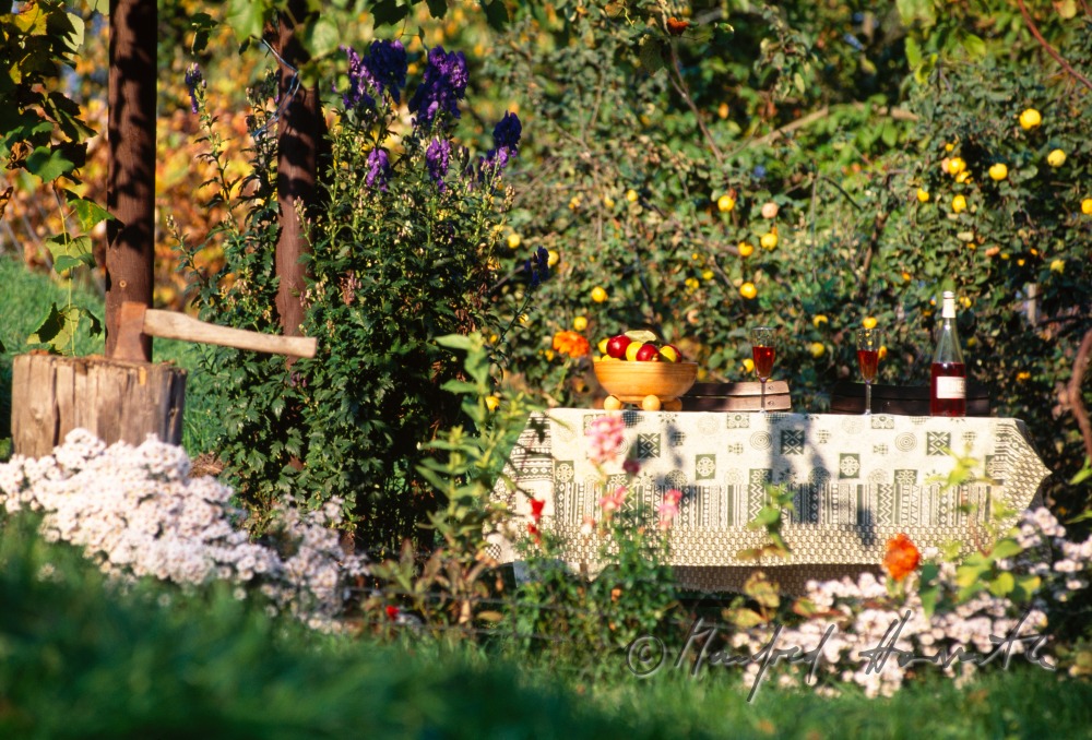 gedeckter Gartentisch mit Uhudlersekt