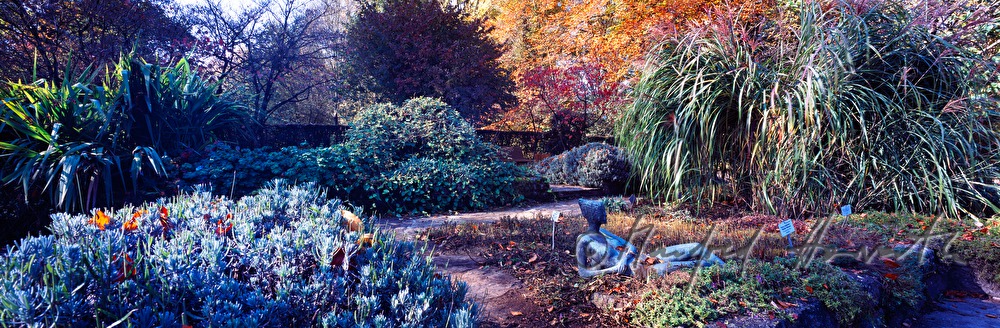 Botanischer Garten