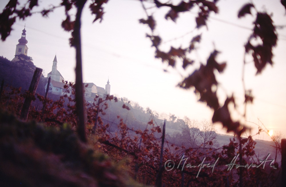 die drei Kirchen und herbstlicher Weinberg