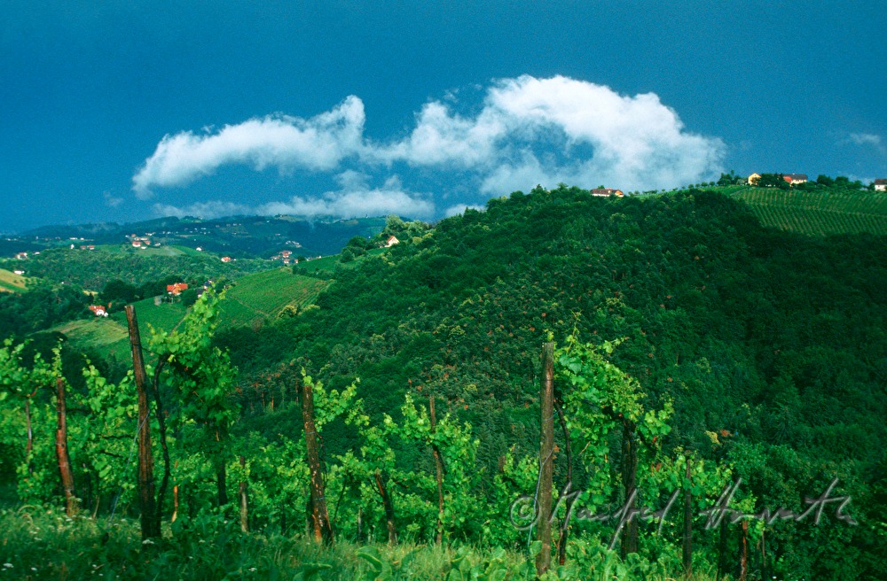 steile Weinberge und Wolke
