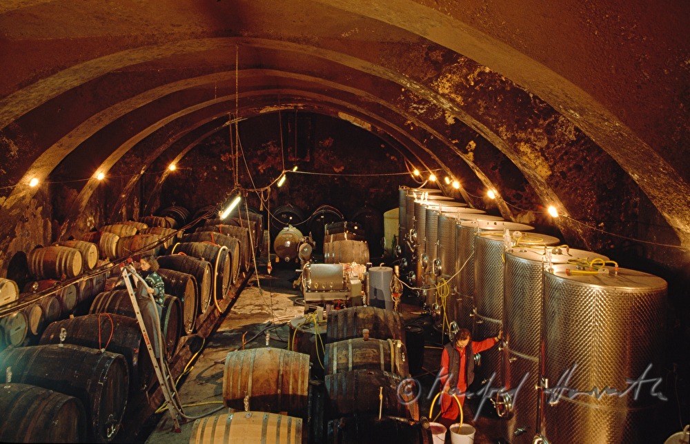 Weinkeller von Weingut Winkler-Hermaden