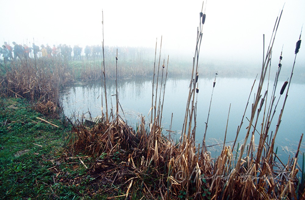 Pilger passieren einen Teich