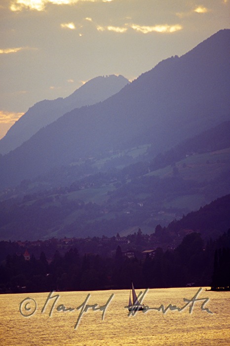 Segelboot und bewaldetes Ufer