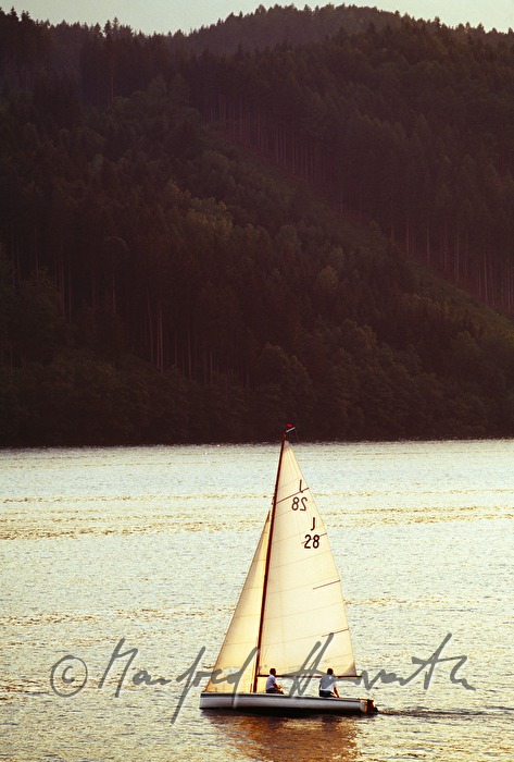 Segelboot und bewaldetes Ufer
