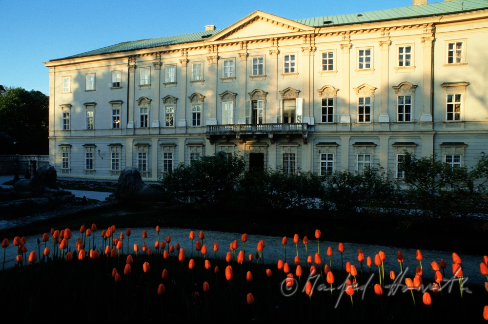 Tulpen im Barockgarten