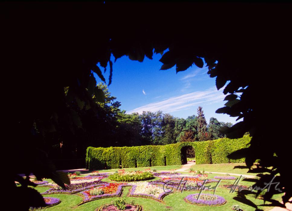 Blick durch eine Hecke im Park Sanssouci