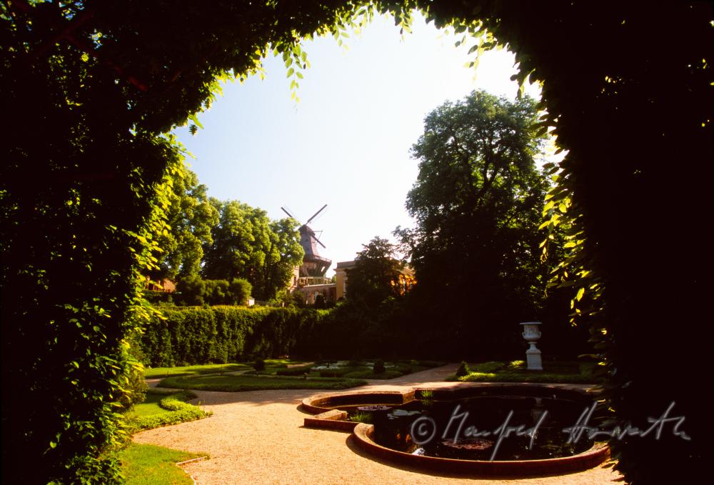 Blick durch eine Hecke im Park Sanssouci