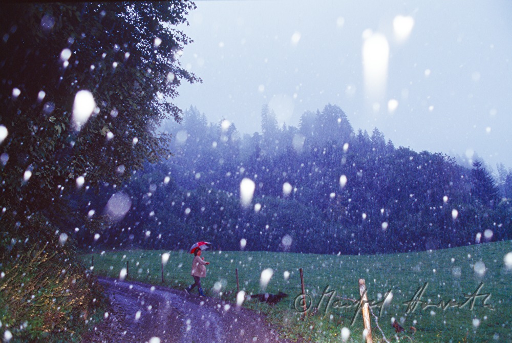 Spaziergang im Schneegestöber
