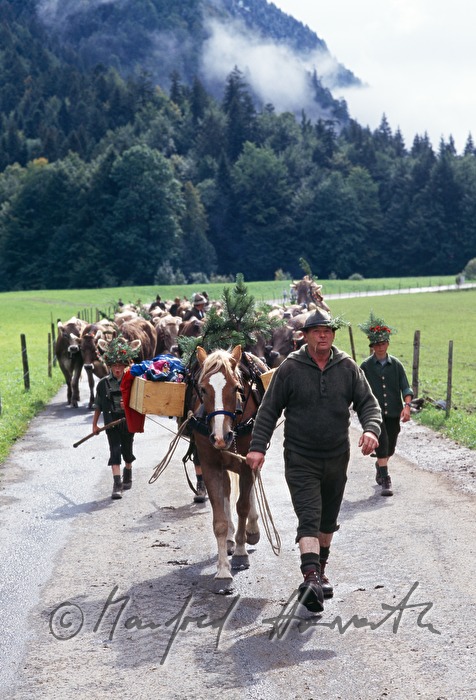 Hirte mit Pferd beim Almabtrieb