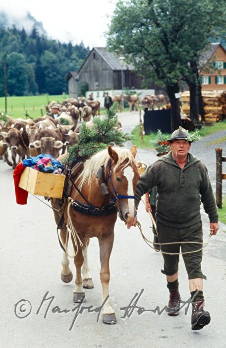 Hirte mit Pferd beim Almabtrieb