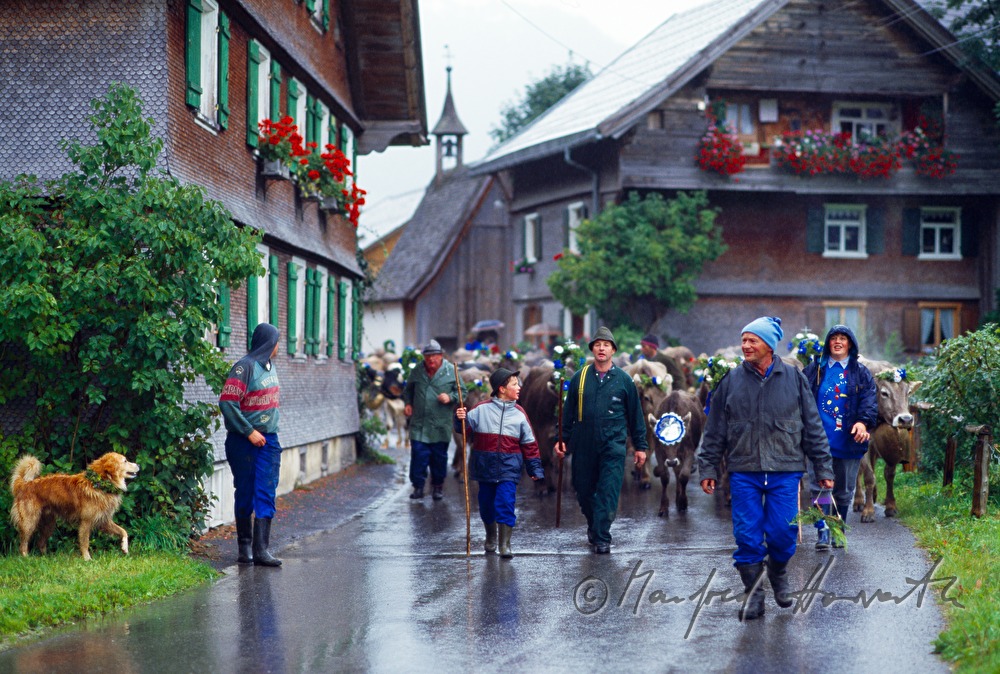 Almabtrieb zieht durch das Dorf