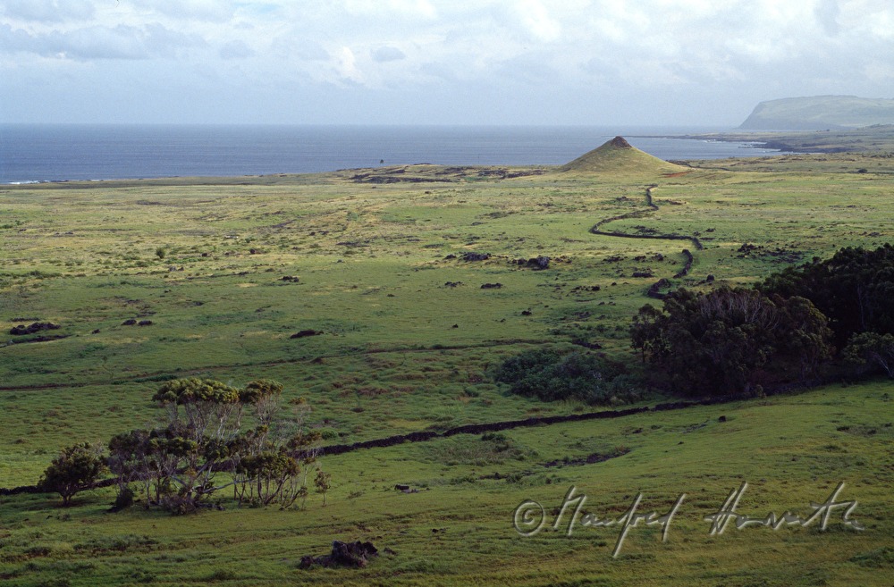 Rano Raraku